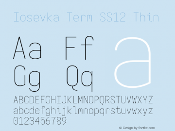 Iosevka Term SS12 Thin Version 5.0.8; ttfautohint (v1.8.3) Font Sample