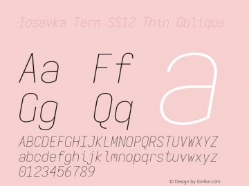 Iosevka Term SS12 Thin Oblique Version 5.0.8; ttfautohint (v1.8.3) Font Sample