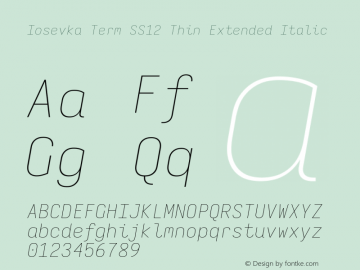 Iosevka Term SS12 Thin Extended Italic Version 5.0.8; ttfautohint (v1.8.3) Font Sample