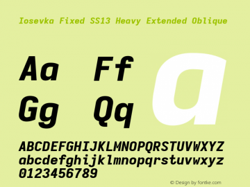 Iosevka Fixed SS13 Heavy Extended Oblique Version 5.0.8; ttfautohint (v1.8.3) Font Sample