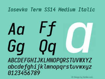 Iosevka Term SS14 Medium Italic Version 5.0.8; ttfautohint (v1.8.3)图片样张