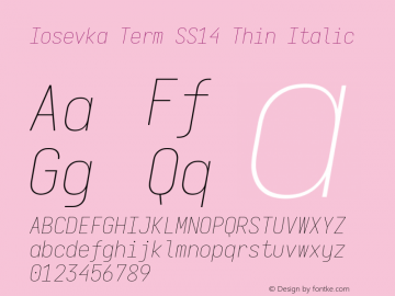 Iosevka Term SS14 Thin Italic Version 5.0.8; ttfautohint (v1.8.3)图片样张