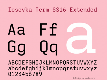 Iosevka Term SS16 Extended Version 5.0.8; ttfautohint (v1.8.3)图片样张