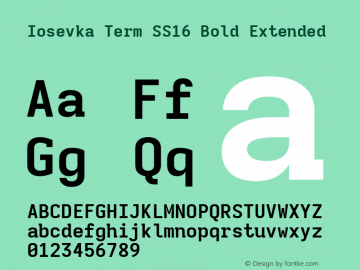 Iosevka Term SS16 Bold Extended Version 5.0.8; ttfautohint (v1.8.3) Font Sample