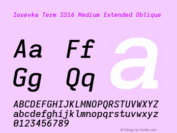 Iosevka Term SS16 Medium Extended Oblique Version 5.0.8; ttfautohint (v1.8.3)图片样张