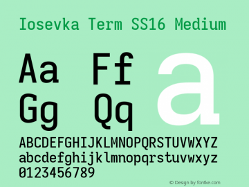 Iosevka Term SS16 Medium Version 5.0.8; ttfautohint (v1.8.3)图片样张