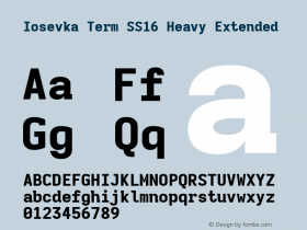 Iosevka Term SS16 Heavy Extended Version 5.0.8; ttfautohint (v1.8.3) Font Sample