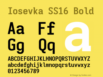 Iosevka SS16 Bold Version 5.0.8; ttfautohint (v1.8.3) Font Sample