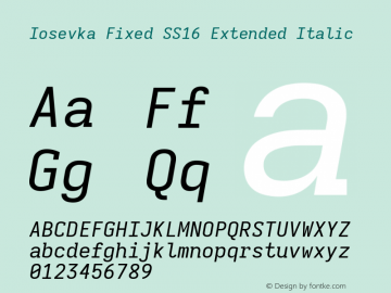 Iosevka Fixed SS16 Extended Italic Version 5.0.8; ttfautohint (v1.8.3)图片样张