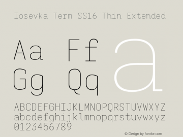 Iosevka Term SS16 Thin Extended Version 5.0.8; ttfautohint (v1.8.3)图片样张