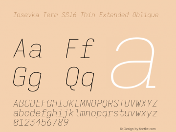Iosevka Term SS16 Thin Extended Oblique Version 5.0.8; ttfautohint (v1.8.3)图片样张