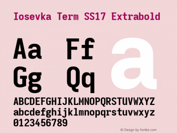 Iosevka Term SS17 Extrabold Version 5.0.8; ttfautohint (v1.8.3) Font Sample