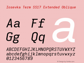 Iosevka Term SS17 Extended Oblique Version 5.0.8; ttfautohint (v1.8.3) Font Sample