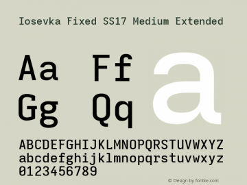 Iosevka Fixed SS17 Medium Extended Version 5.0.8; ttfautohint (v1.8.3)图片样张