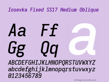 Iosevka Fixed SS17 Medium Oblique Version 5.0.8; ttfautohint (v1.8.3)图片样张