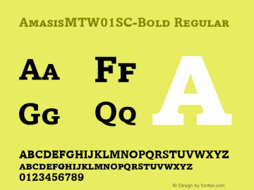 Amasis MT W01SC Bold Version 1.00 Font Sample