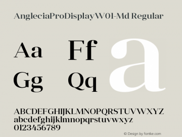 Anglecia Pro Display W01 Md Version 1.00 Font Sample