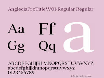 Anglecia Pro Title W01 Regular Version 1.00 Font Sample