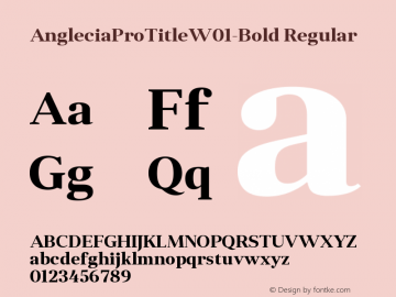Anglecia Pro Title W01 Bold Version 1.00图片样张