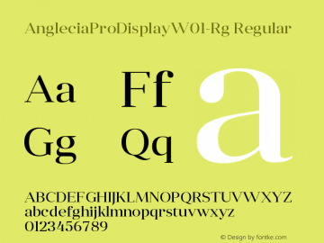 Anglecia Pro Display W01 Rg Version 1.00 Font Sample