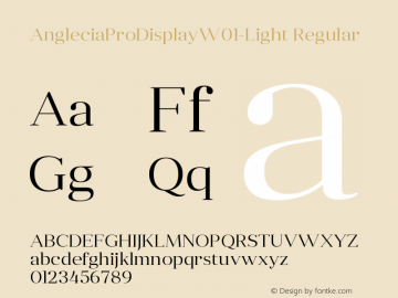Anglecia Pro Display W01 Light Version 1.00 Font Sample