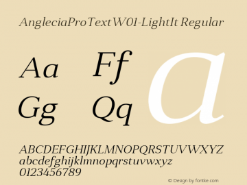 Anglecia Pro Text W01 Light It Version 1.00图片样张