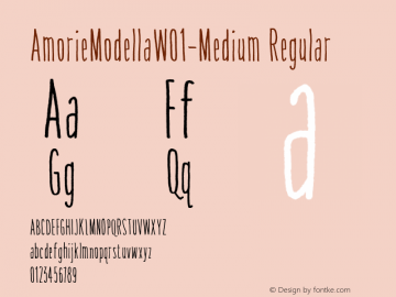Amorie Modella W01 Medium Version 1.00 Font Sample