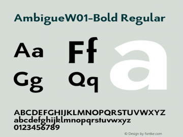 Ambigue W01 Bold Version 1.02图片样张