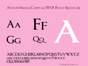 Anavio Small Capitals W01 Bold Version 1.00 Font Sample