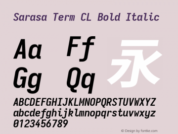 Sarasa Term CL Bold Italic 图片样张