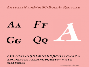 Amitale Wide W01SC Bold Italic Version 1.00图片样张