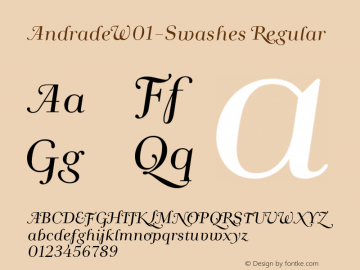 Andrade W01 Swashes Version 1.1 Font Sample