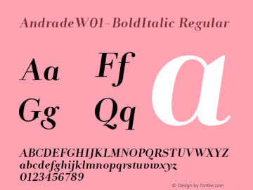 Andrade W01 Bold Italic Version 1.1 Font Sample