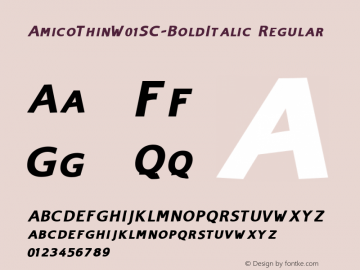 Amico Thin W01SC Bold Italic Version 1.00 Font Sample