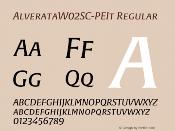 Alverata W02SC PE It Version 1.1图片样张