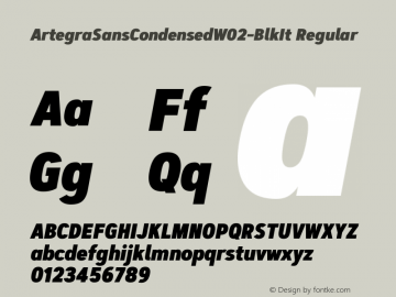 Artegra Sans Condensed W02BlkIt Version 1.004图片样张