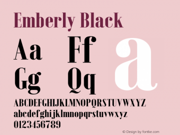 Emberly Black Version 1.000图片样张