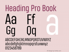 Heading Pro Book Version 1.001 Font Sample