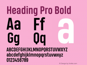 Heading Pro Bold Version 1.001 Font Sample