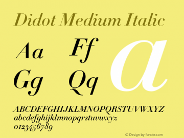 Didot Medium Italic 001.000图片样张