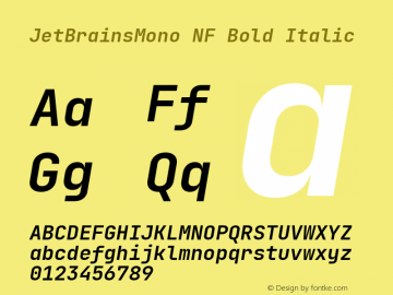 JetBrains Mono Bold Italic Nerd Font Complete Windows Compatible Version 2.225; ttfautohint (v1.8.3)图片样张