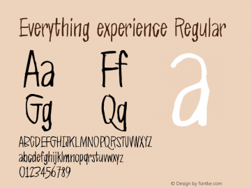 Everything experience Version 1.00 December 22, 2020, initial release Font Sample
