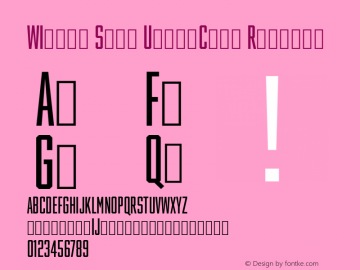 Winner-Sans-UltraComp Version 1.105图片样张