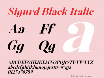 Sigurd Black Italic Version 1.000;hotconv 1.0.109;makeotfexe 2.5.65596图片样张