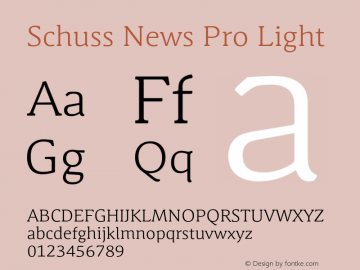 SchussNewsPro-Light Version 001.000图片样张