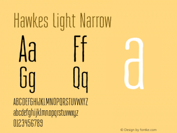 Hawkes Light Narrow 1.000图片样张