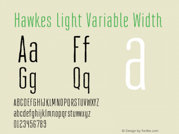 Hawkes Light Variable Width 1.000 Font Sample