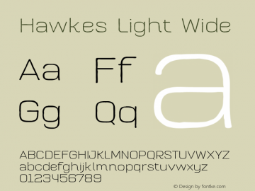 Hawkes Light Wide 1.000图片样张