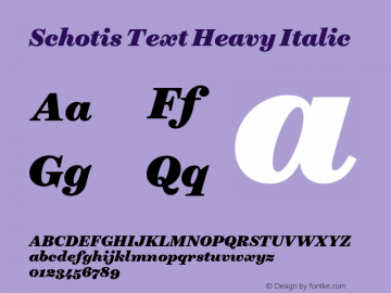 Schotis Text Heavy Italic Version 1.001图片样张