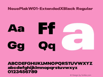 Neue Plak W01 Extended XBlack Version 1.00 Font Sample